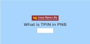 What is TPIN in PNB